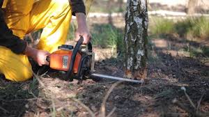 Lawn Grading and Leveling in Hamlet, NC